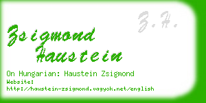 zsigmond haustein business card